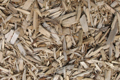 biomass boilers Hawthorn